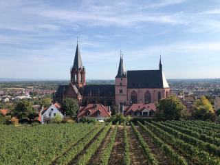 Vin et religion : rites, interdits et abbayes
