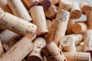 Lire une étiquette de vin : mentions et pictogrammes
