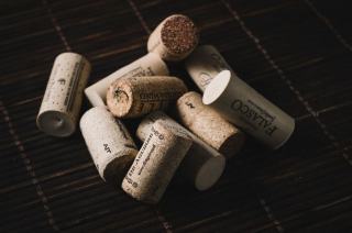 Culture du vin : histoire, rites, objets et défauts